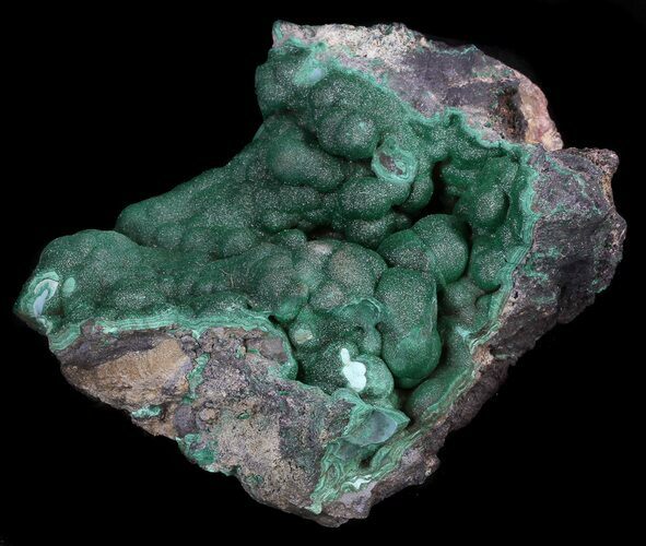 Dark Green Chrysocolla Crystals - Cyber Monday Deal! #35645